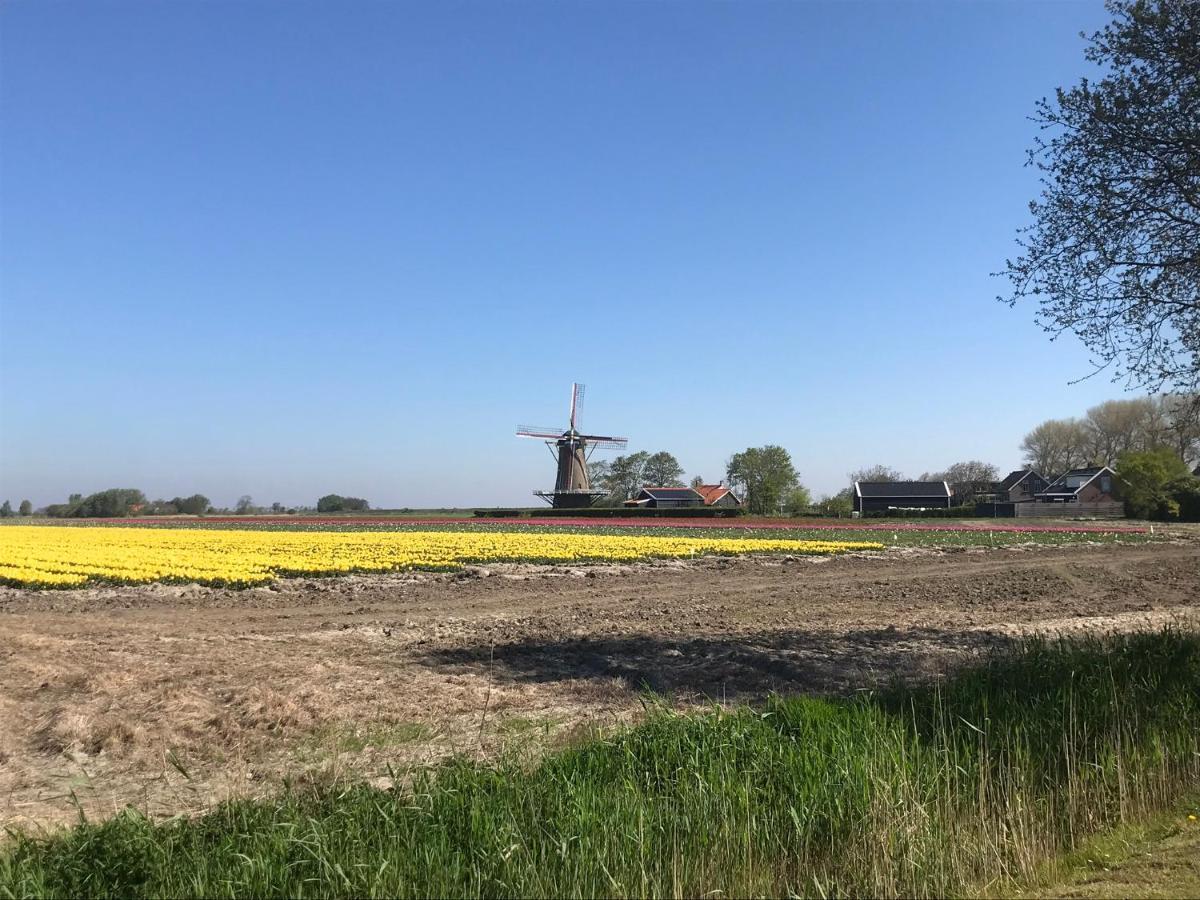 In De Gele Hoed Mooie Appartementen Met Fantastisch Uitzicht Zonnemaire Exterior photo